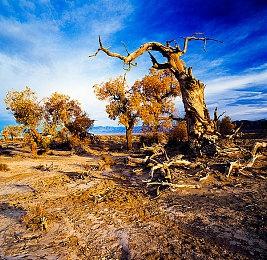 《鬼灭之刃 火之神血风谭》Steam页面上线 支持中文锁国区